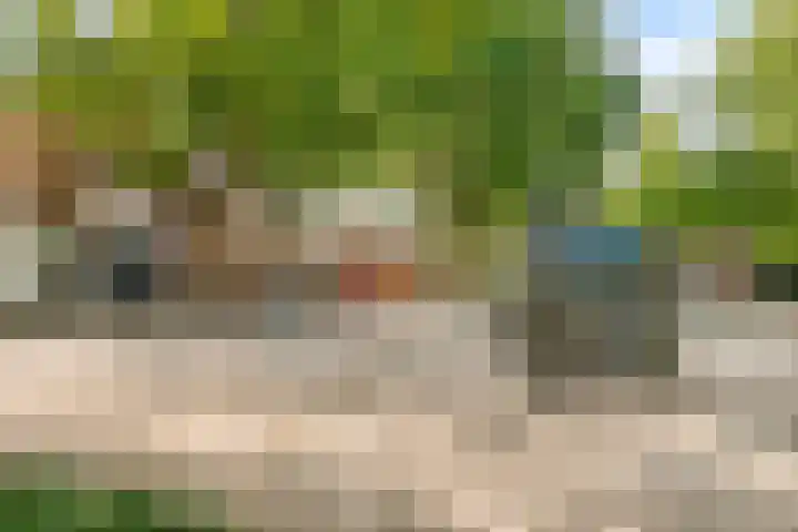 Donkeren Dijk 9 Heeswijk-Dinther thumbnail 46