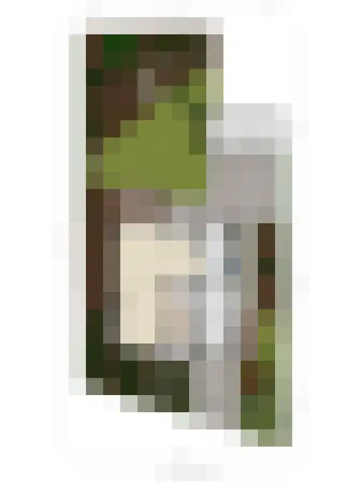 Donkeren Dijk 9 Heeswijk-Dinther thumbnail 47
