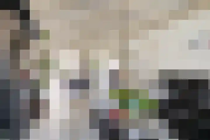 Donkeren Dijk 9 Heeswijk-Dinther thumbnail 8