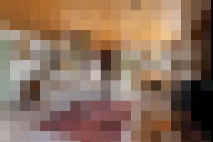 Donkereweg 11 Noordgouwe thumbnail 10