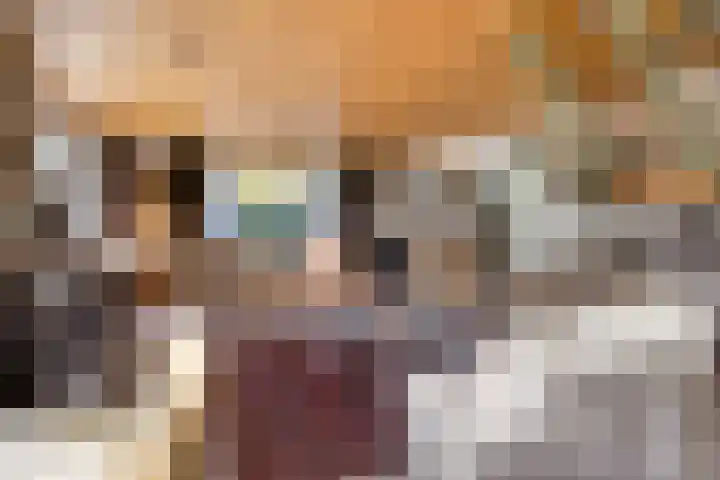 Donkereweg 11 Noordgouwe thumbnail 11