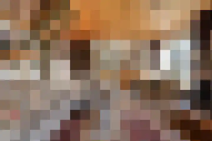 Donkereweg 11 Noordgouwe thumbnail 12