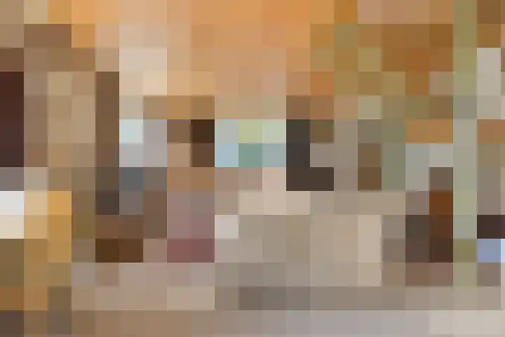 Donkereweg 11 Noordgouwe thumbnail 13