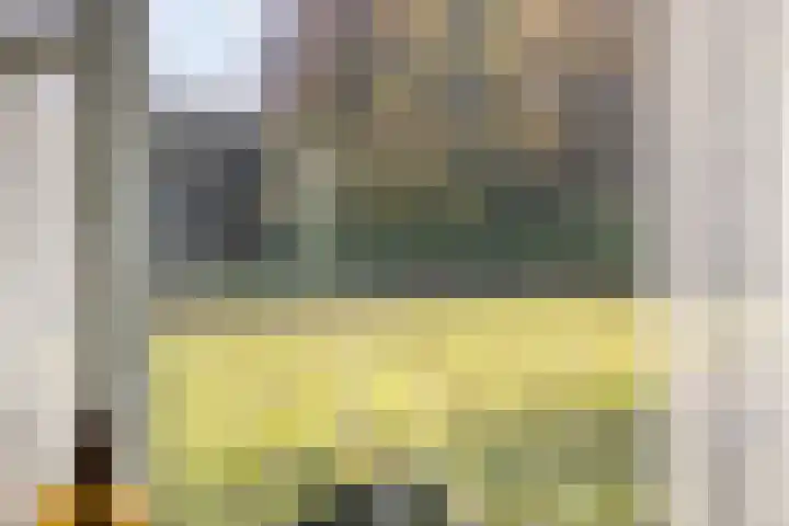 Donkereweg 11 Noordgouwe thumbnail 14