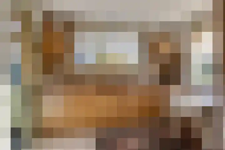 Donkereweg 11 Noordgouwe thumbnail 15
