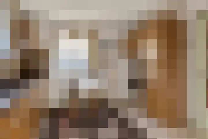 Donkereweg 11 Noordgouwe thumbnail 16