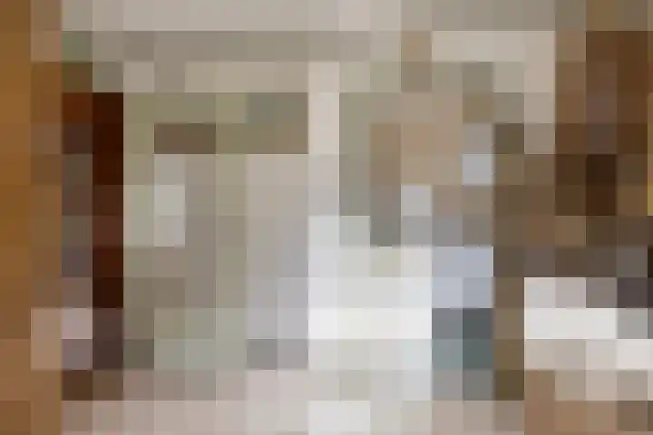 Donkereweg 11 Noordgouwe thumbnail 17
