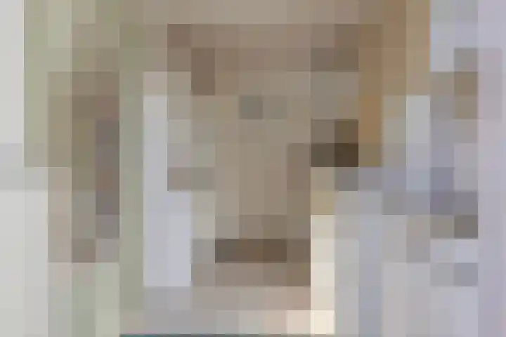 Donkereweg 11 Noordgouwe thumbnail 18