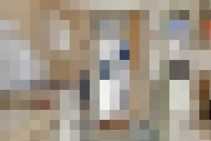 Donkereweg 11 Noordgouwe thumbnail 19
