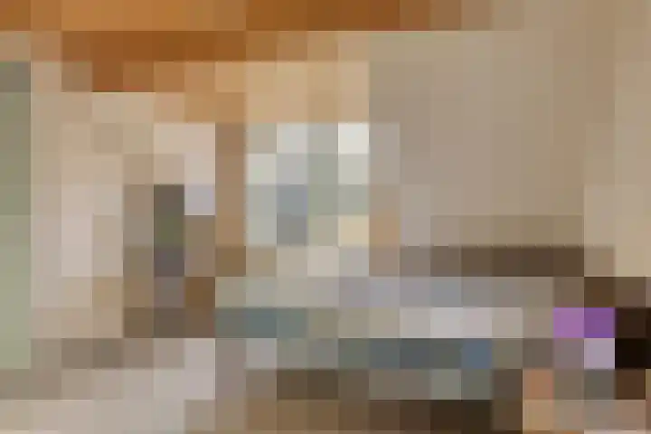 Donkereweg 11 Noordgouwe thumbnail 22