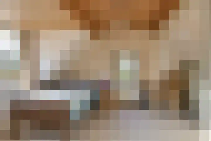 Donkereweg 11 Noordgouwe thumbnail 23