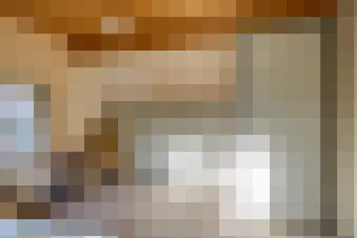 Donkereweg 11 Noordgouwe thumbnail 24