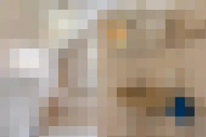 Donkereweg 11 Noordgouwe thumbnail 25