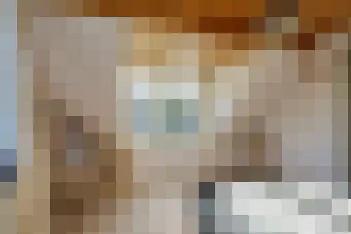 Donkereweg 11 Noordgouwe thumbnail 29
