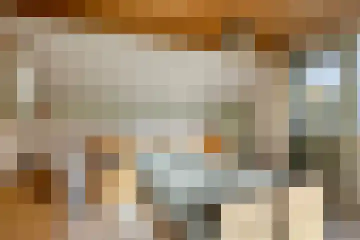 Donkereweg 11 Noordgouwe thumbnail 30
