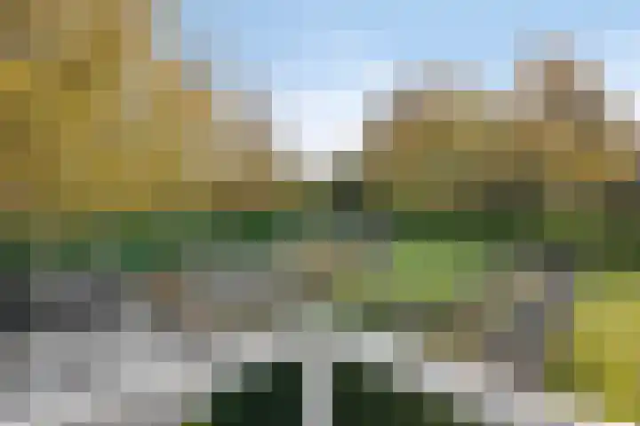 Donkereweg 11 Noordgouwe thumbnail 31