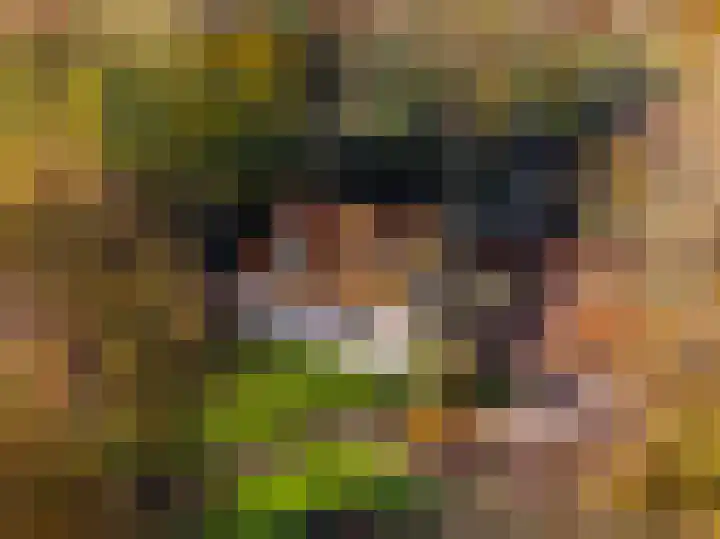 Donkereweg 11 Noordgouwe thumbnail 33