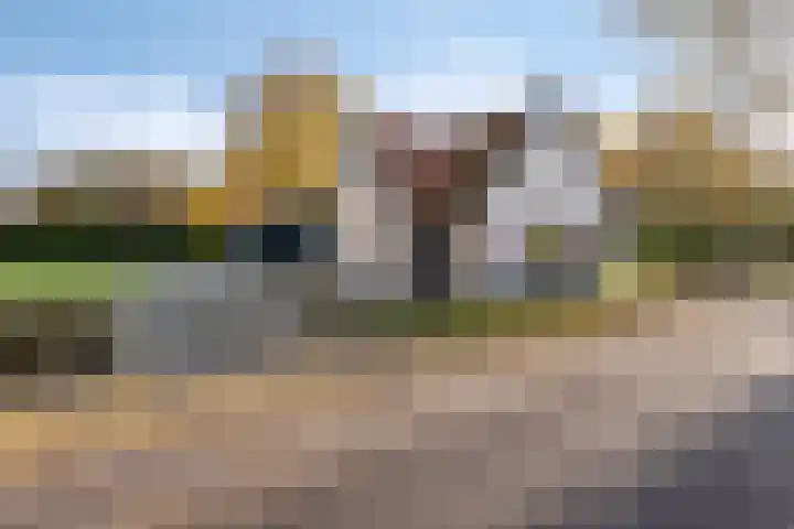 Donkereweg 11 Noordgouwe thumbnail 34