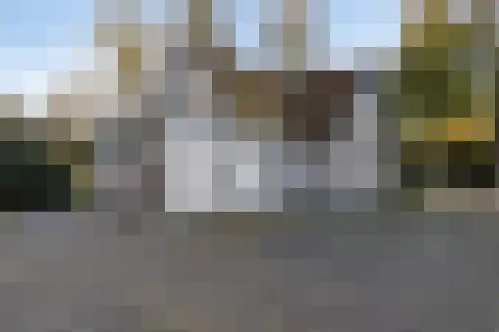 Donkereweg 11 Noordgouwe thumbnail 35