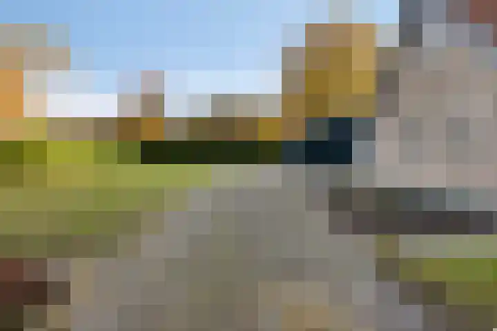 Donkereweg 11 Noordgouwe thumbnail 36