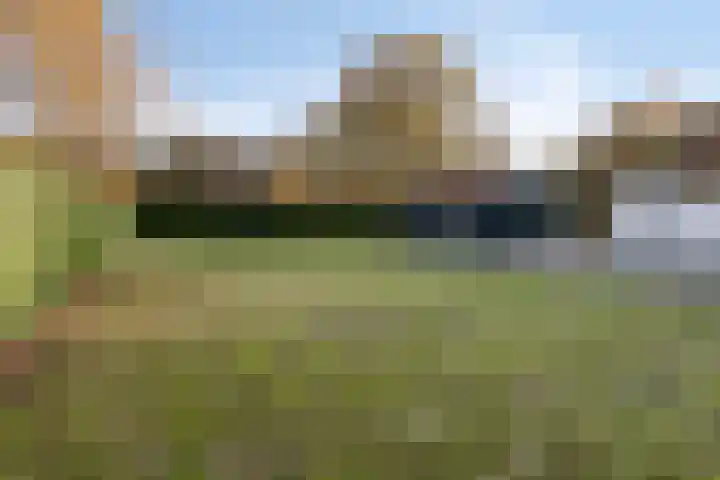 Donkereweg 11 Noordgouwe thumbnail 38
