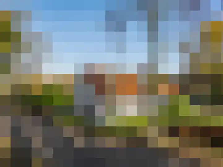 Donkereweg 11 Noordgouwe thumbnail 4