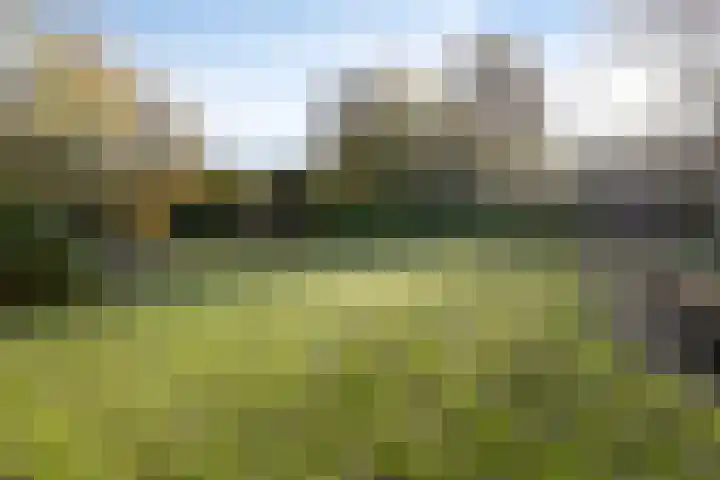 Donkereweg 11 Noordgouwe thumbnail 40