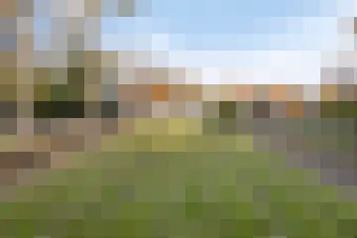 Donkereweg 11 Noordgouwe thumbnail 41