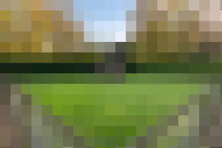 Donkereweg 11 Noordgouwe thumbnail 42