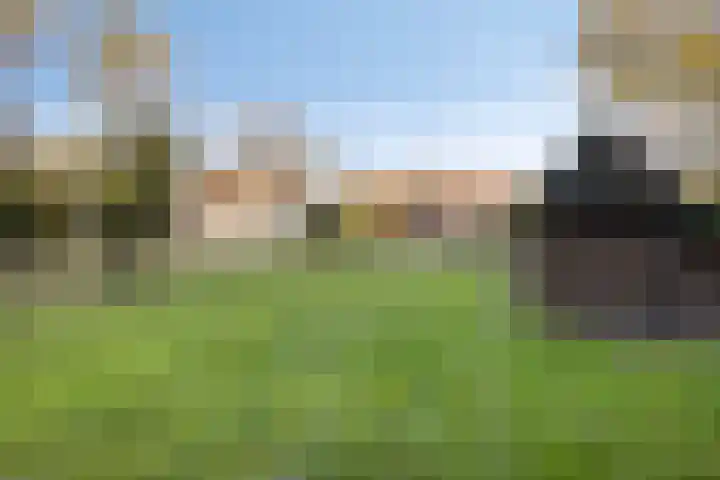 Donkereweg 11 Noordgouwe thumbnail 43