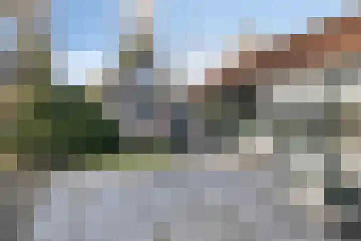 Donkereweg 11 Noordgouwe thumbnail 46