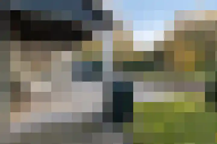 Donkereweg 11 Noordgouwe thumbnail 47