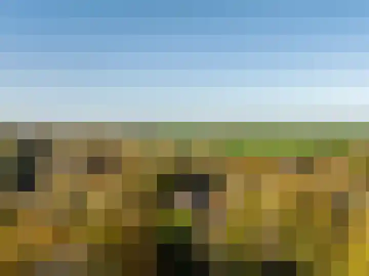 Donkereweg 11 Noordgouwe thumbnail 5