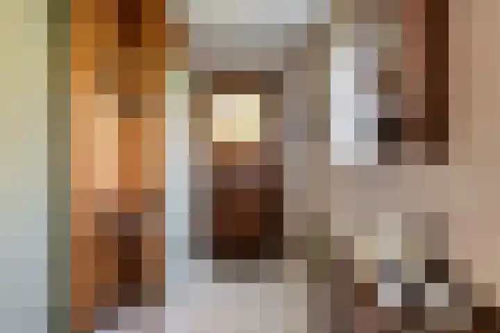 Donkereweg 11 Noordgouwe thumbnail 6