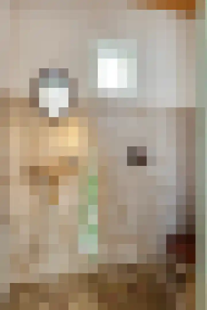 Donkereweg 11 Noordgouwe thumbnail 7