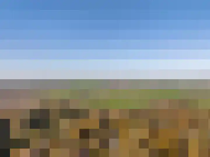 Donkereweg 11 Noordgouwe thumbnail 8