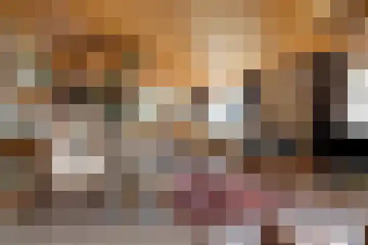Donkereweg 11 Noordgouwe thumbnail 9