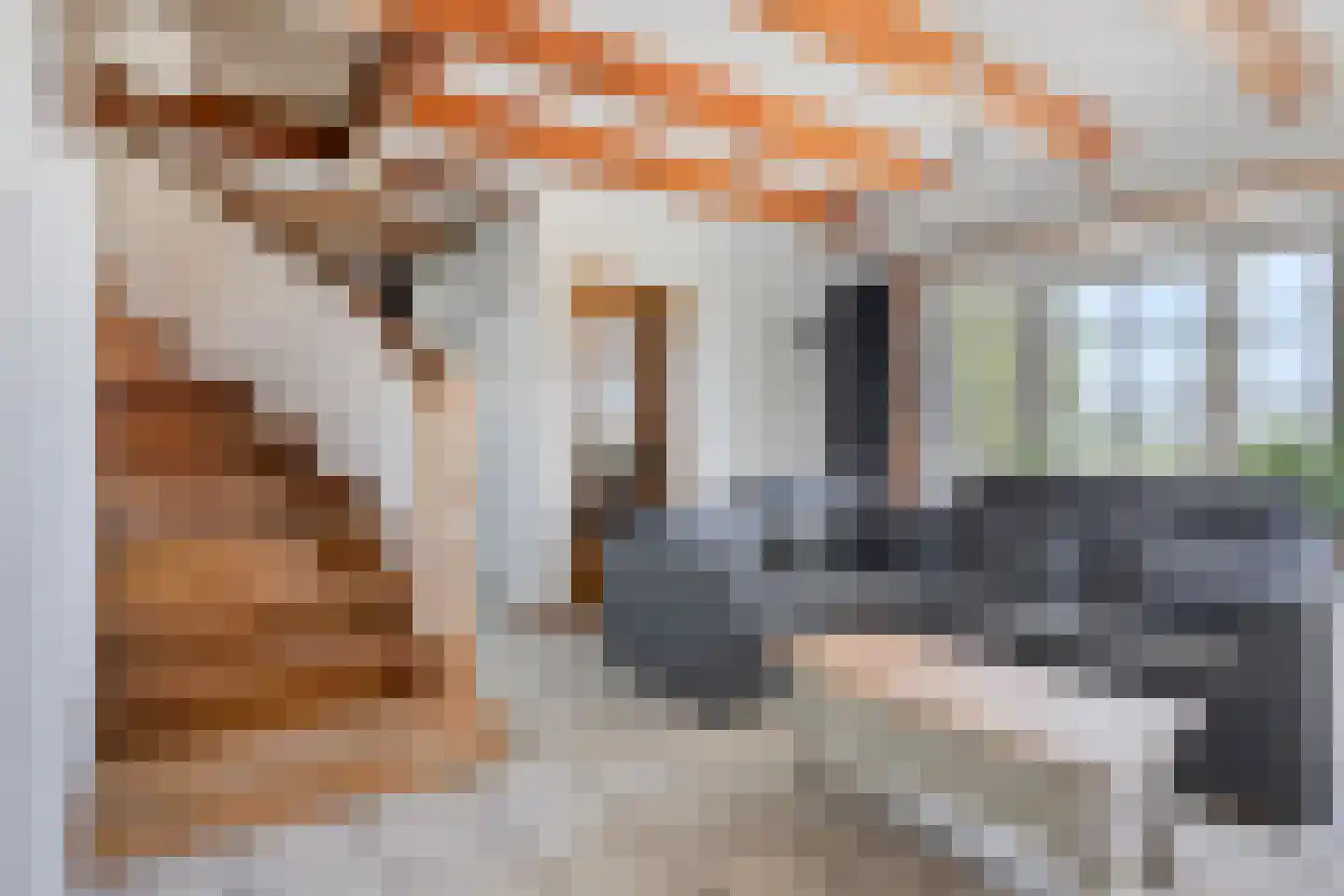 Donkereweg 12 Noordgouwe thumbnail 10