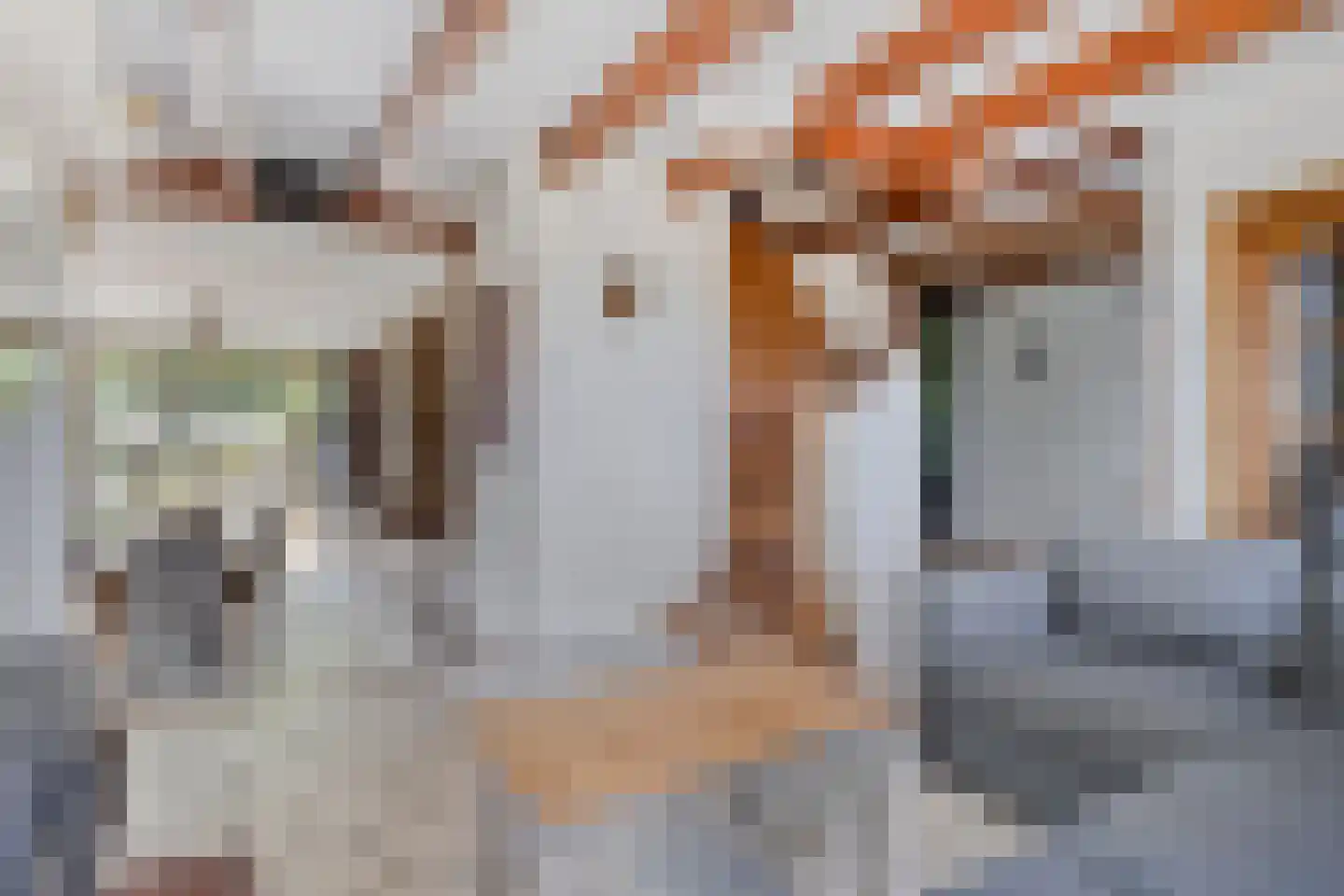 Donkereweg 12 Noordgouwe thumbnail 12