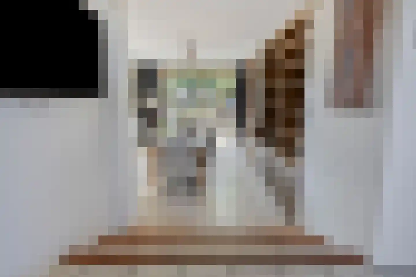 Donkereweg 12 Noordgouwe thumbnail 13