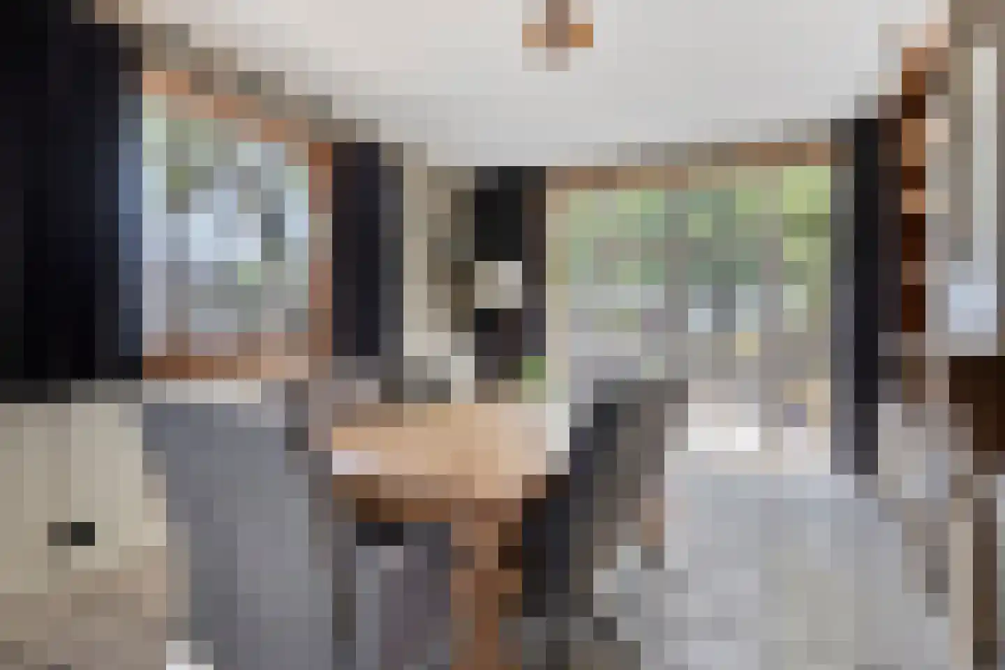 Donkereweg 12 Noordgouwe thumbnail 14