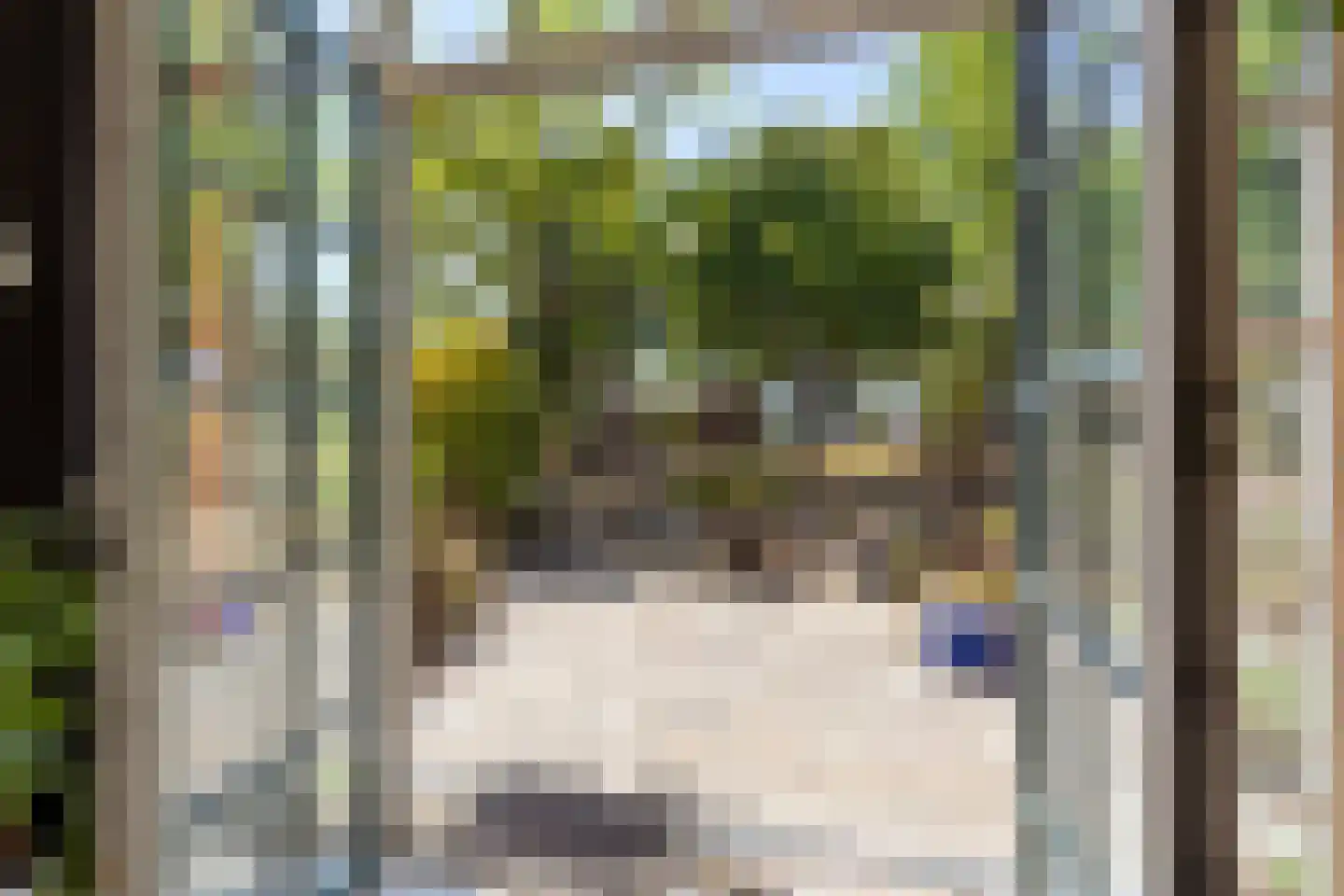 Donkereweg 12 Noordgouwe thumbnail 15