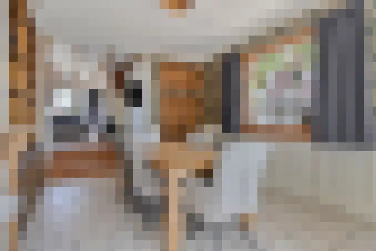 Donkereweg 12 Noordgouwe thumbnail 16
