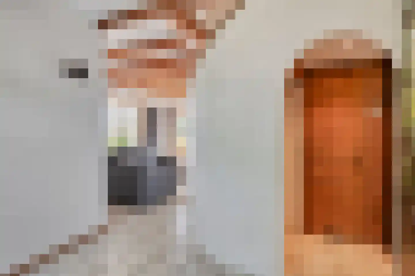 Donkereweg 12 Noordgouwe thumbnail 19