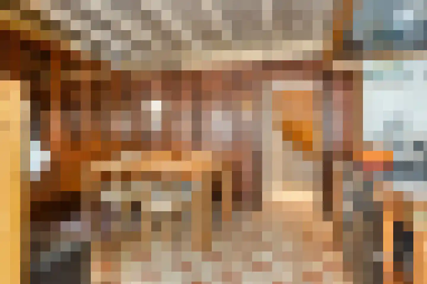 Donkereweg 12 Noordgouwe thumbnail 23