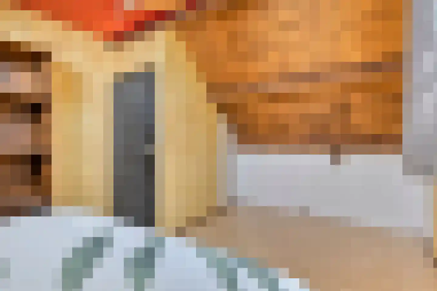 Donkereweg 12 Noordgouwe thumbnail 25