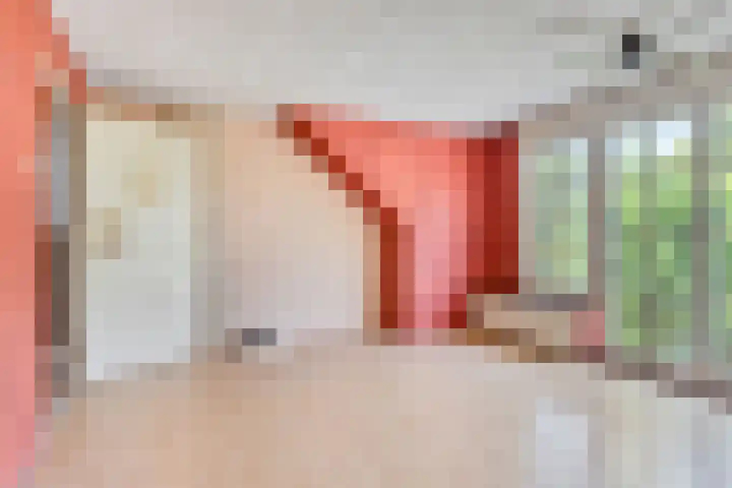 Donkereweg 12 Noordgouwe thumbnail 27