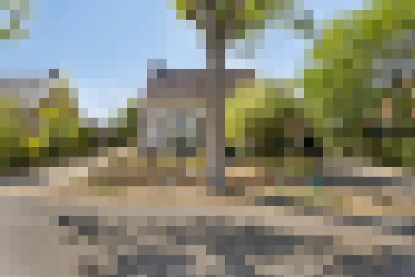 Donkereweg 12 Noordgouwe foto 3