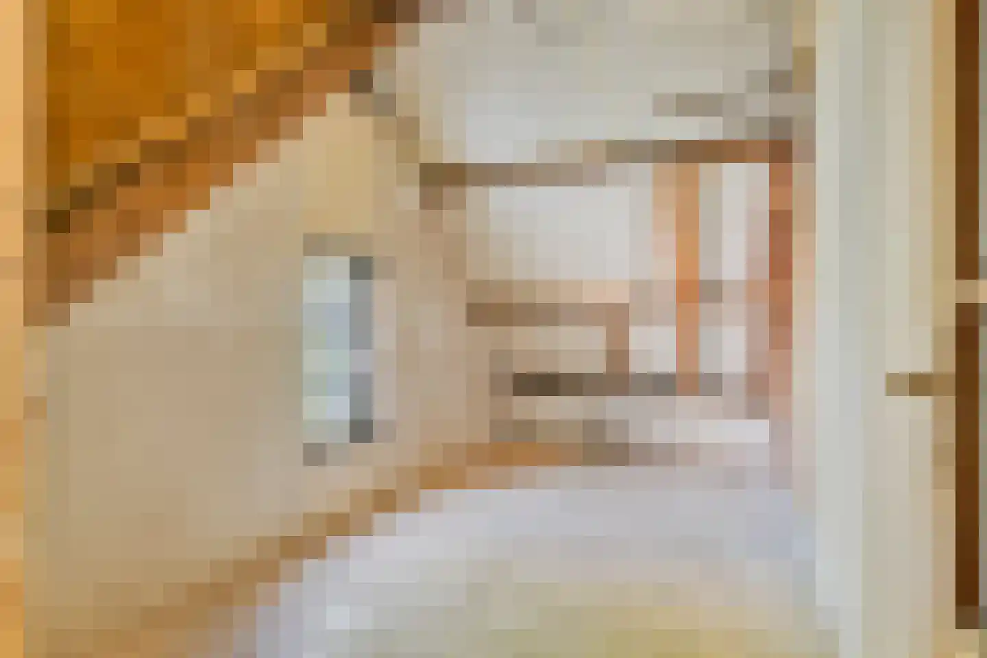 Donkereweg 12 Noordgouwe thumbnail 31