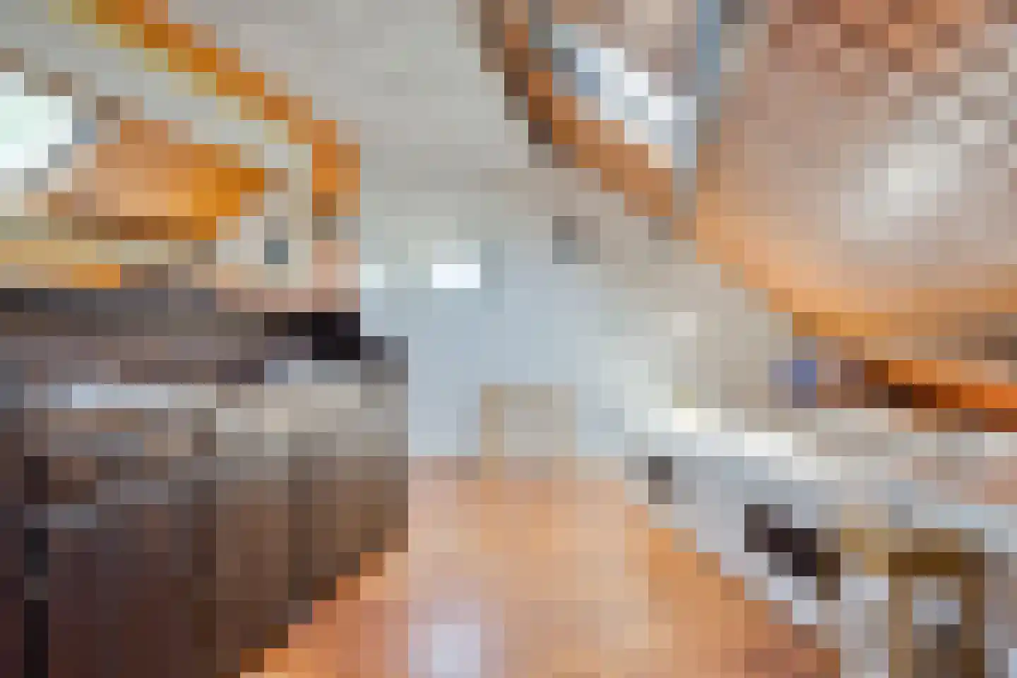 Donkereweg 12 Noordgouwe thumbnail 32
